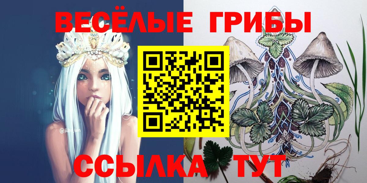 Галлюциногенные грибы Psilocybe Красноярск