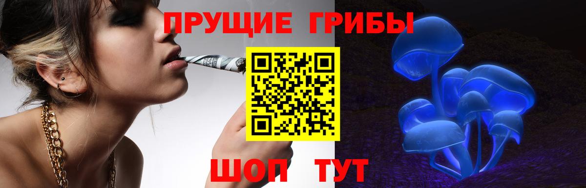Псилоцибиновые грибы GOLDEN TEACHER  Вход с VPN  Красноярск 